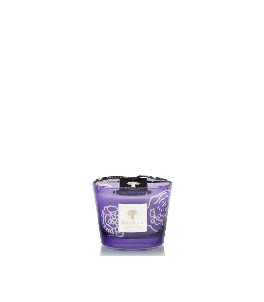 Baobab Collection Candle Collectible Roses Dark Parma