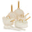Greenpan Reserve Pro Ceramic Nonstick 10-Piece Cookware Set | Cream