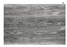 Guzzini Place mats, Shades Assorted, One Size