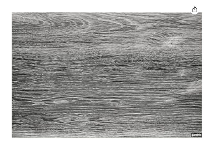 Guzzini Place mats, Shades Assorted, One Size
