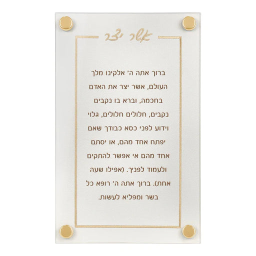 BT Shalom Leatherette Classic Short Asher Yatzar with Gold Embroidery