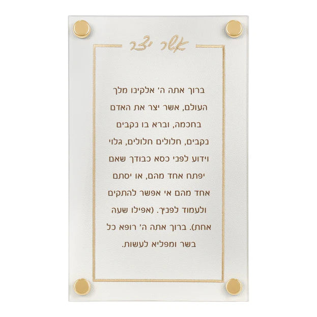 BT Shalom Leatherette Classic Short Asher Yatzar with Gold Embroidery