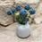CDI Blue Snow Balls in Jabory Natural Pot
