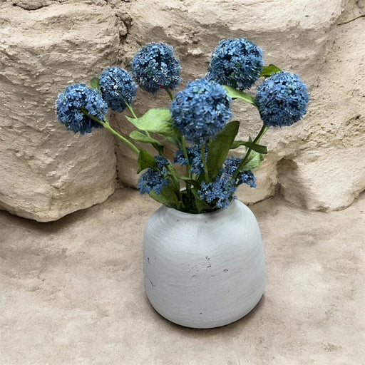 CDI Blue Snow Balls in Jabory Natural Pot