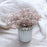 CDI Pink Eucalyptus Seed in White Cupcake Pot
