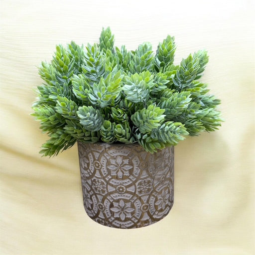 CDI Pine Evergreen in Small Gold Decorated Pot
