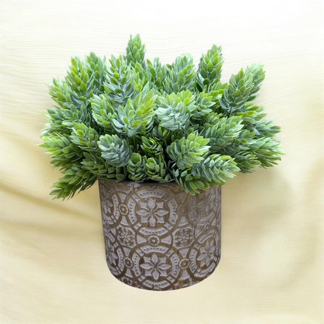 CDI Pine Evergreen in Small Gold Decorated Pot