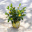 CDI Lemon Branches in Yellow Pot