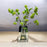 CDI Green Snowball in Water Mirror Pot