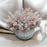 CDI Pink Eucalyptus seed in White Round Pot