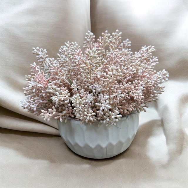 CDI Pink Eucalyptus seed in White Round Pot