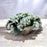 CDI White Mountain Flower In Silver Small Oval Pot
