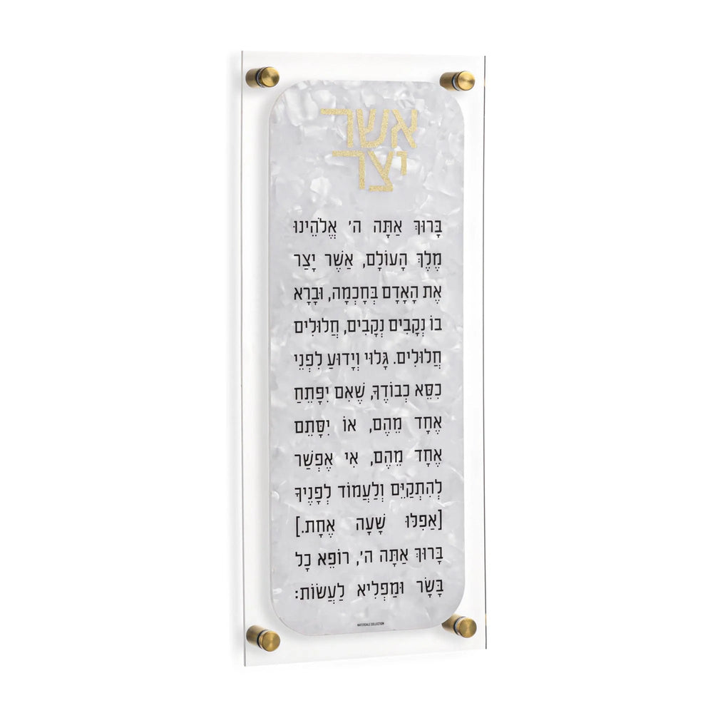 Waterdale Collection Pearlstone Asher Yatzar