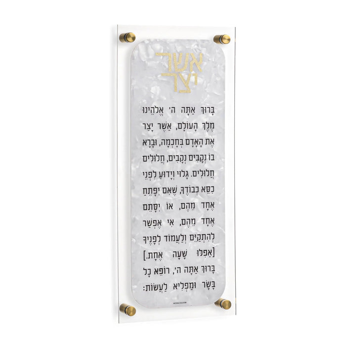 Waterdale Collection Pearlstone Asher Yatzar