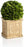 Zodax Annecy Boxwood Topiary Sm