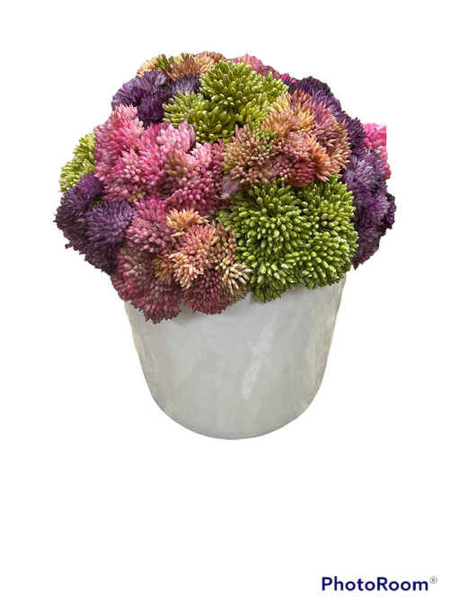 CDI Colorful in Glossy White Planter