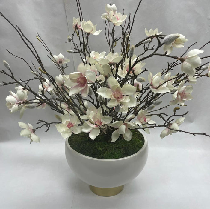 CDI Magnolia in White Container