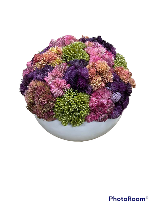 CDI Sedums with Purple  Planter