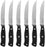 Cuisinart C77TR-S6SK Triple Rivet Collection 6-Piece Steak Knife Set,Black